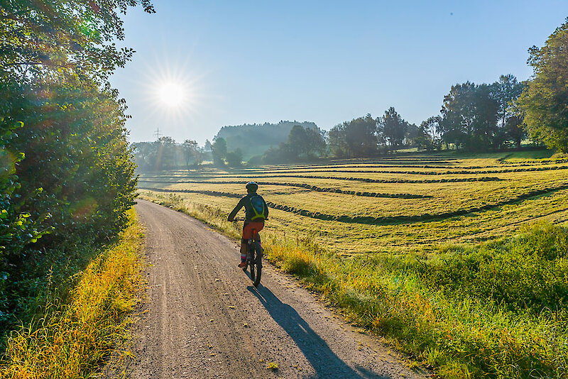 Radfahren im Bayerischen Wald